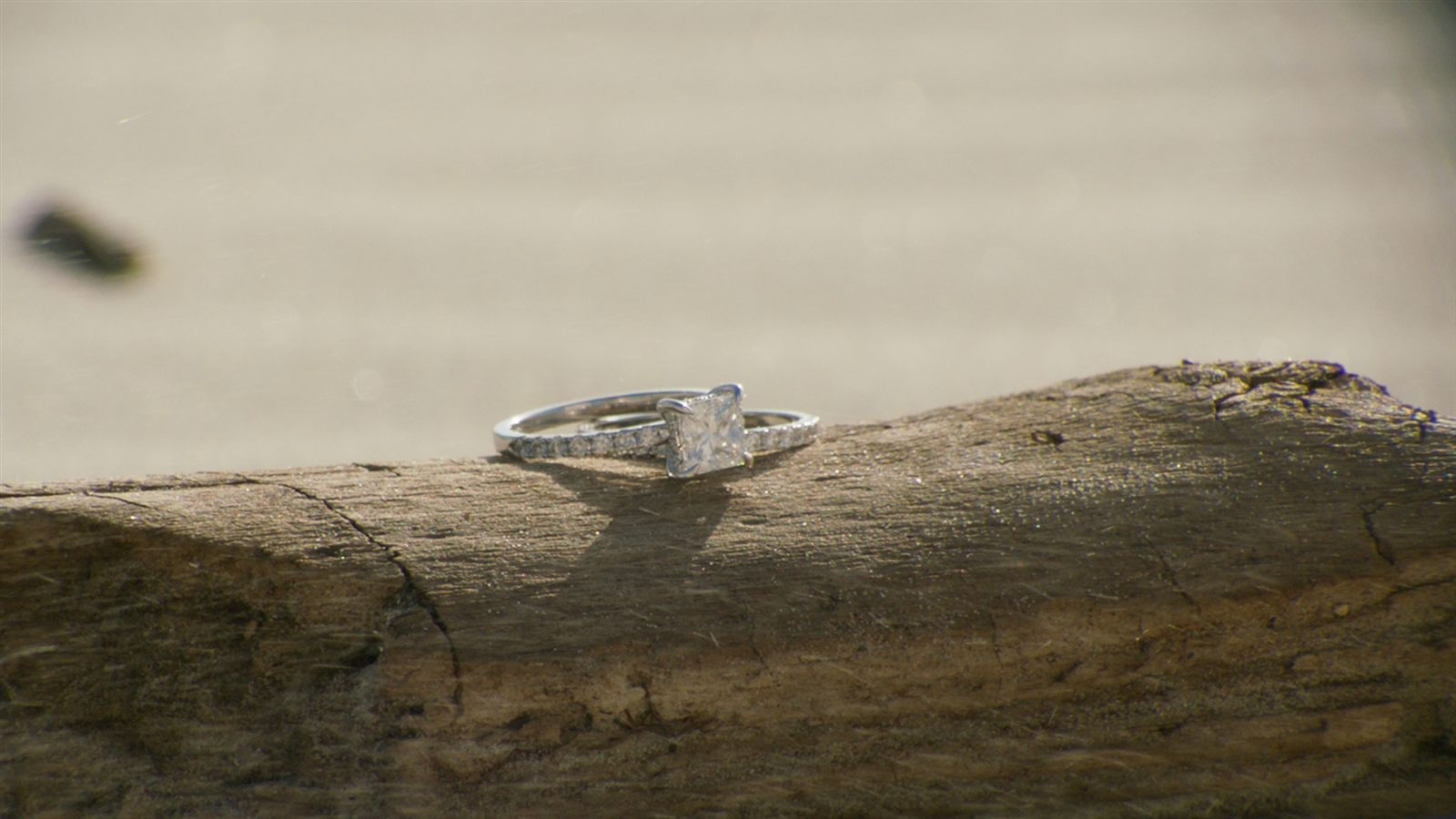 Engagement ring resting on driftwood in natural light